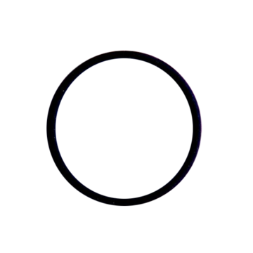 O Ring Viton Lp